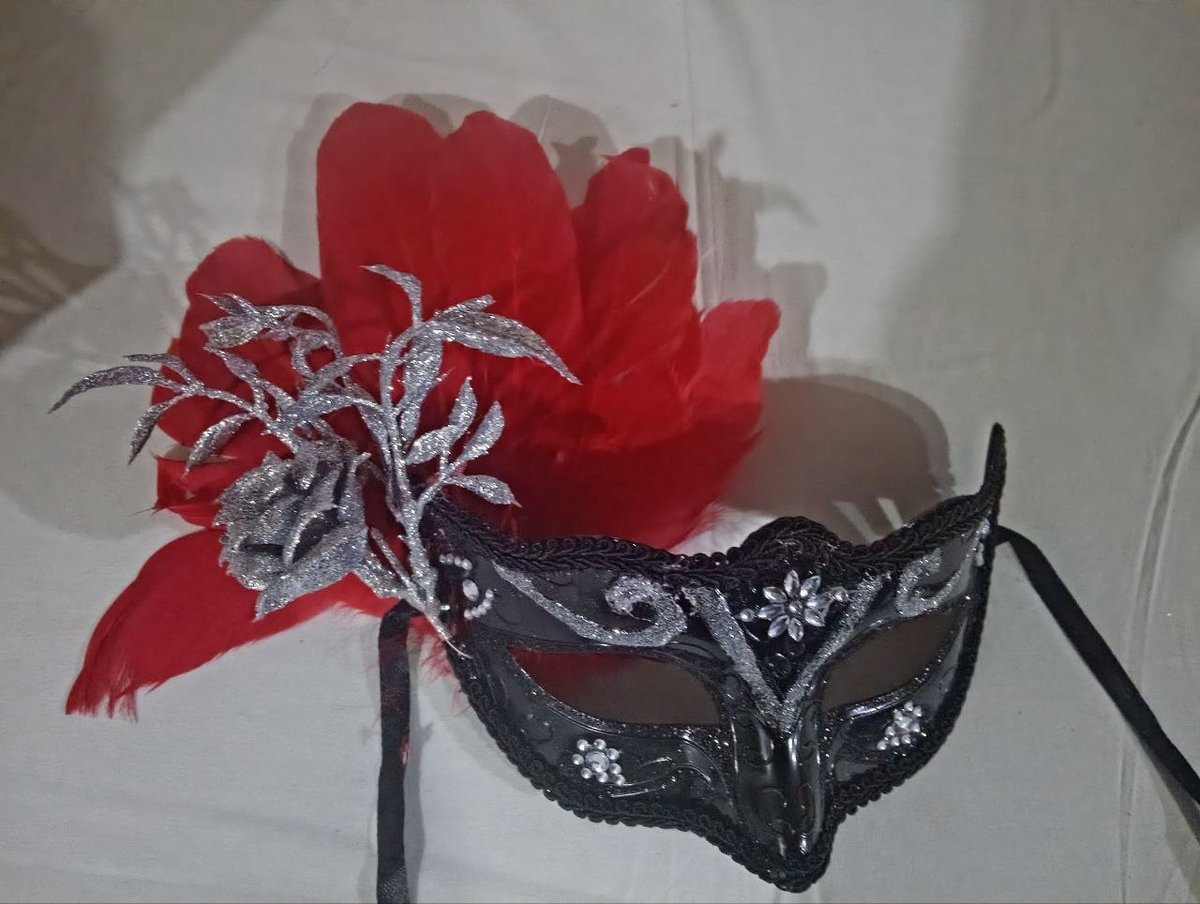 Antifaz negro con plumas rojas